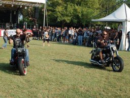 motoduck 2013_004
